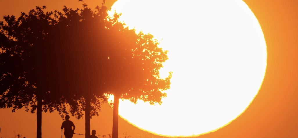 Bannerbild_potentially